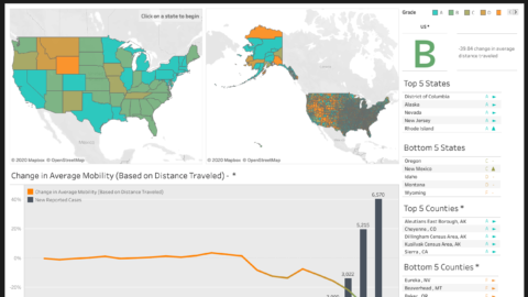 Visualizing Social Distancing Efforts